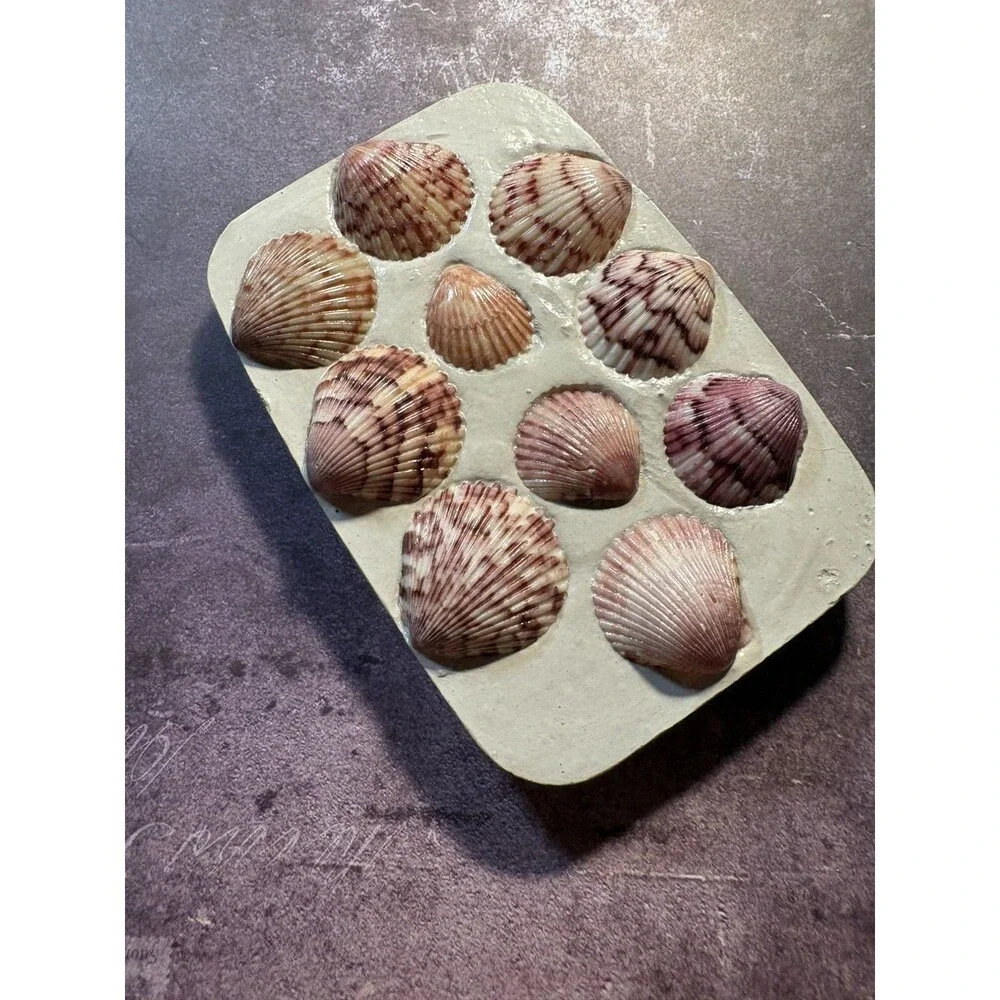 Handmade Soap Dish Cement Soap Holder Bathroom Kitchen Pink Sea Shells